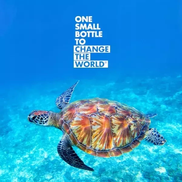 ION8 Miętowa butelka na wodę w motyle 500 ml