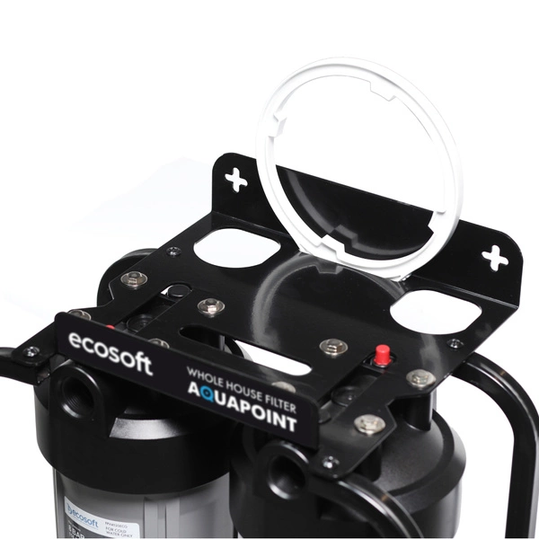 Ecosoft Aquapoint Dwukorpusowy filtr wody na cały dom Big Blue 20"